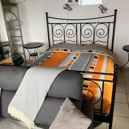 Ferienwohnung Casa Petra 1 1/2 Zi, Orgnana 83 Gambarogno Exterior foto