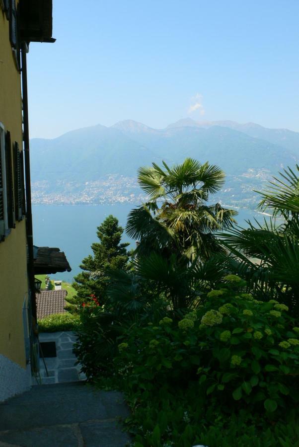 Ferienwohnung Casa Petra 1 1/2 Zi, Orgnana 83 Gambarogno Exterior foto