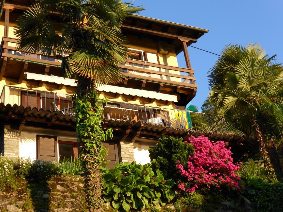 Ferienwohnung Casa Petra 1 1/2 Zi, Orgnana 83 Gambarogno Exterior foto