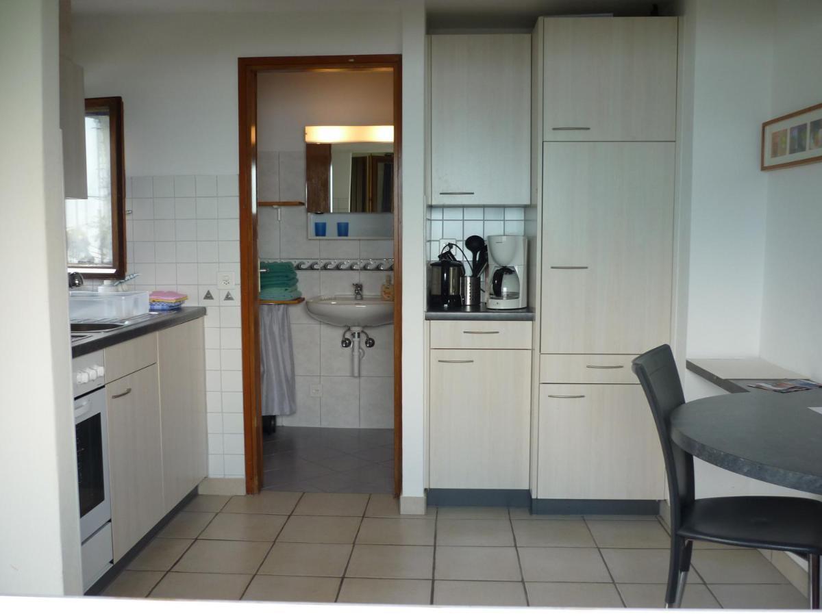 Ferienwohnung Casa Petra 1 1/2 Zi, Orgnana 83 Gambarogno Exterior foto