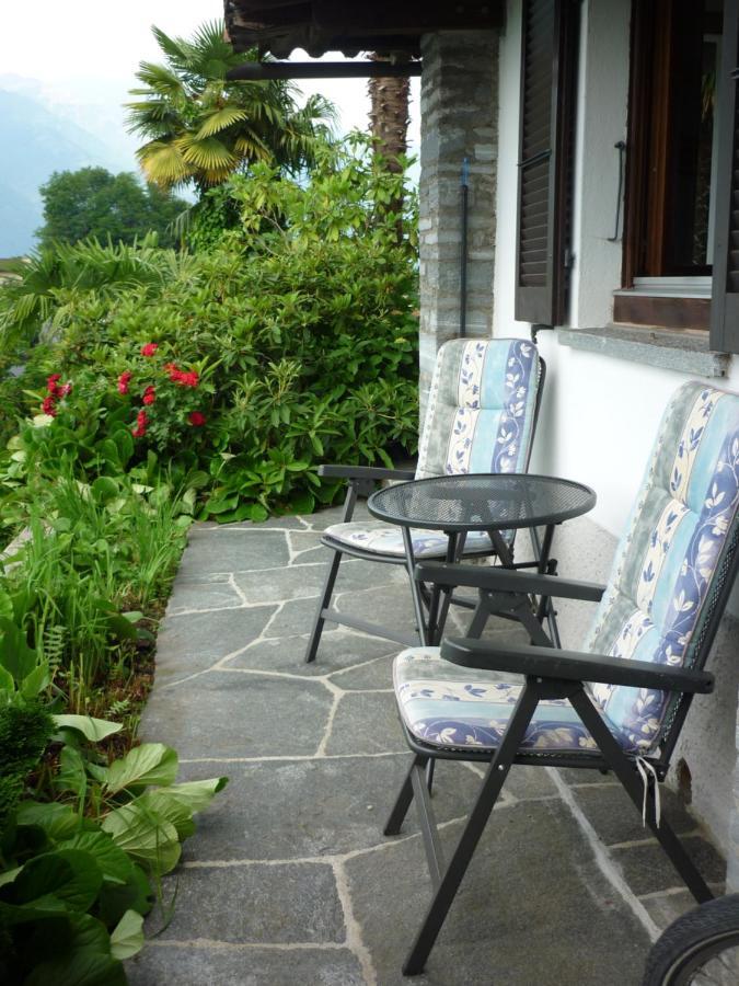 Ferienwohnung Casa Petra 1 1/2 Zi, Orgnana 83 Gambarogno Exterior foto